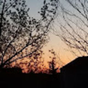 Meet your Posher, Zoey